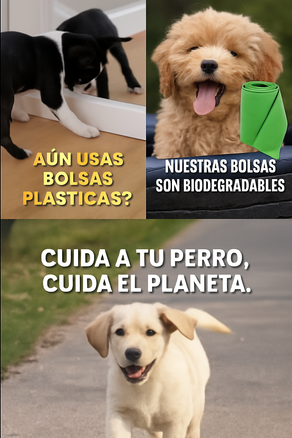 PACK DE 12 ROLLOS DE BOLSAS PARA PERROS