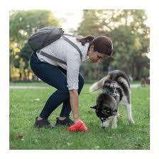 PACK DE 12 ROLLOS DE BOLSAS PARA PERROS